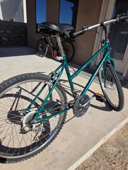 Duffy Bike