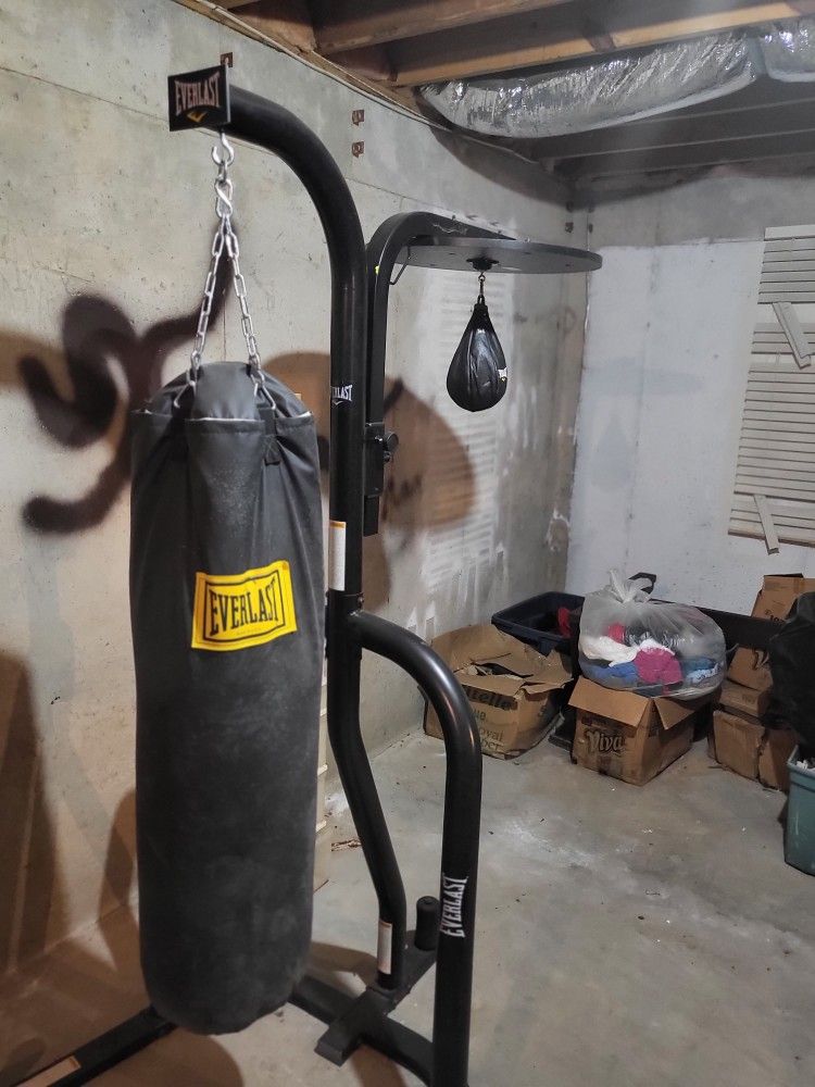 Everlast Punching+Speed Bag