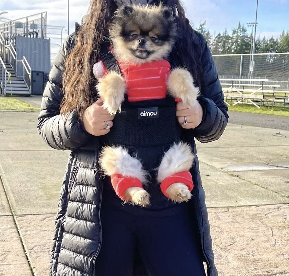 Pet Carrier Backpack