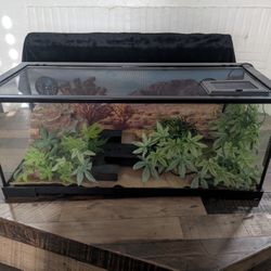 20 Gal Terrarium For Reptiles
