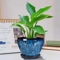 Ceramic Modern Glaze Succulent Planter Pot with Drainage Hole and Saucer 6 Inch