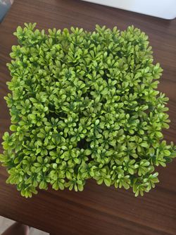 Faux plant decor