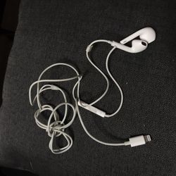 Apple Earphones With Apple Connection 