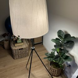 Floor Lamp