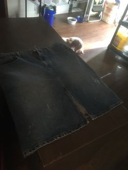 Woman’s skirt 3.00