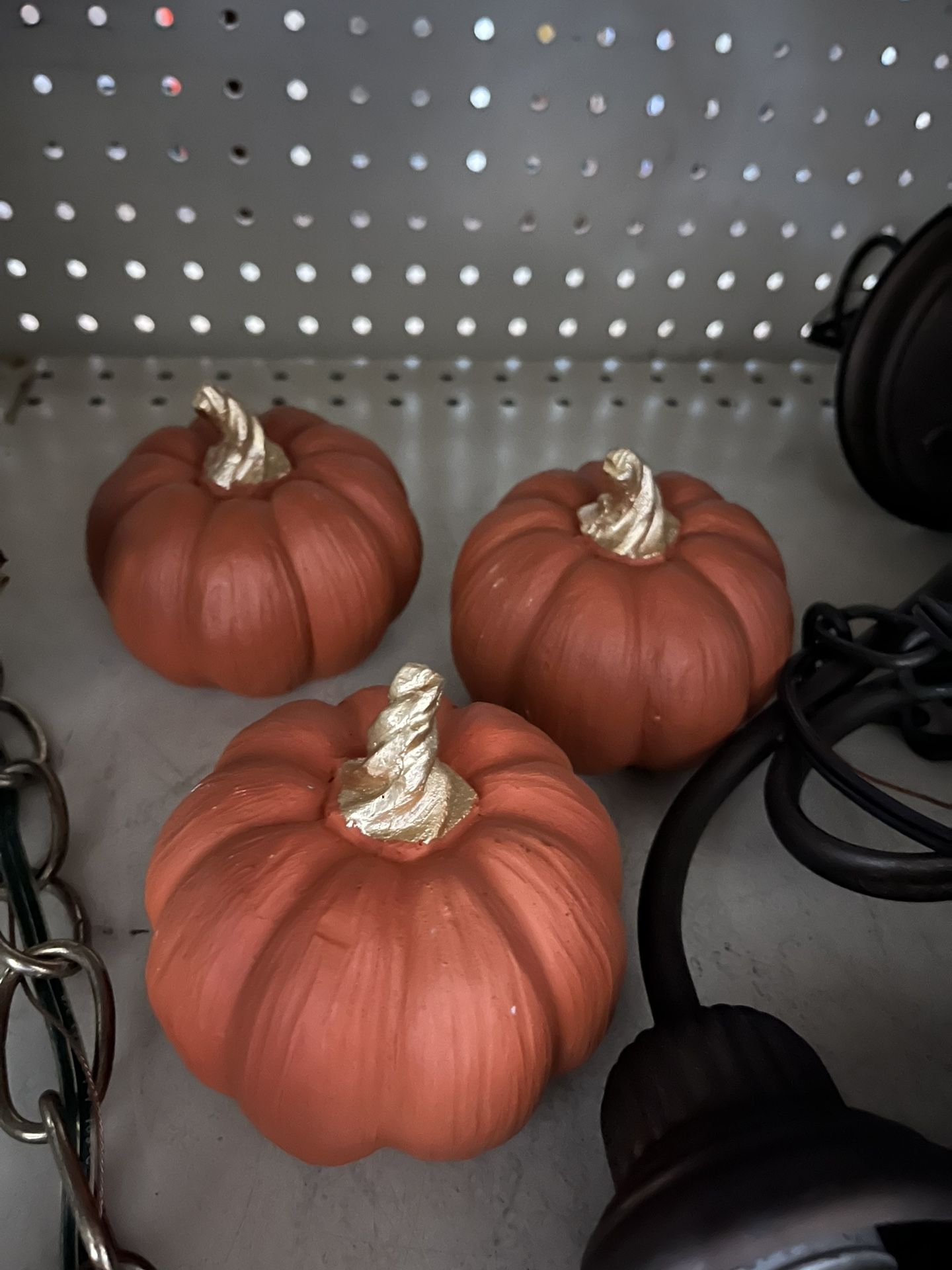 Three pumpkins with gold stems