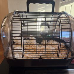 Medium Hamster Cage With Water And Bedding 