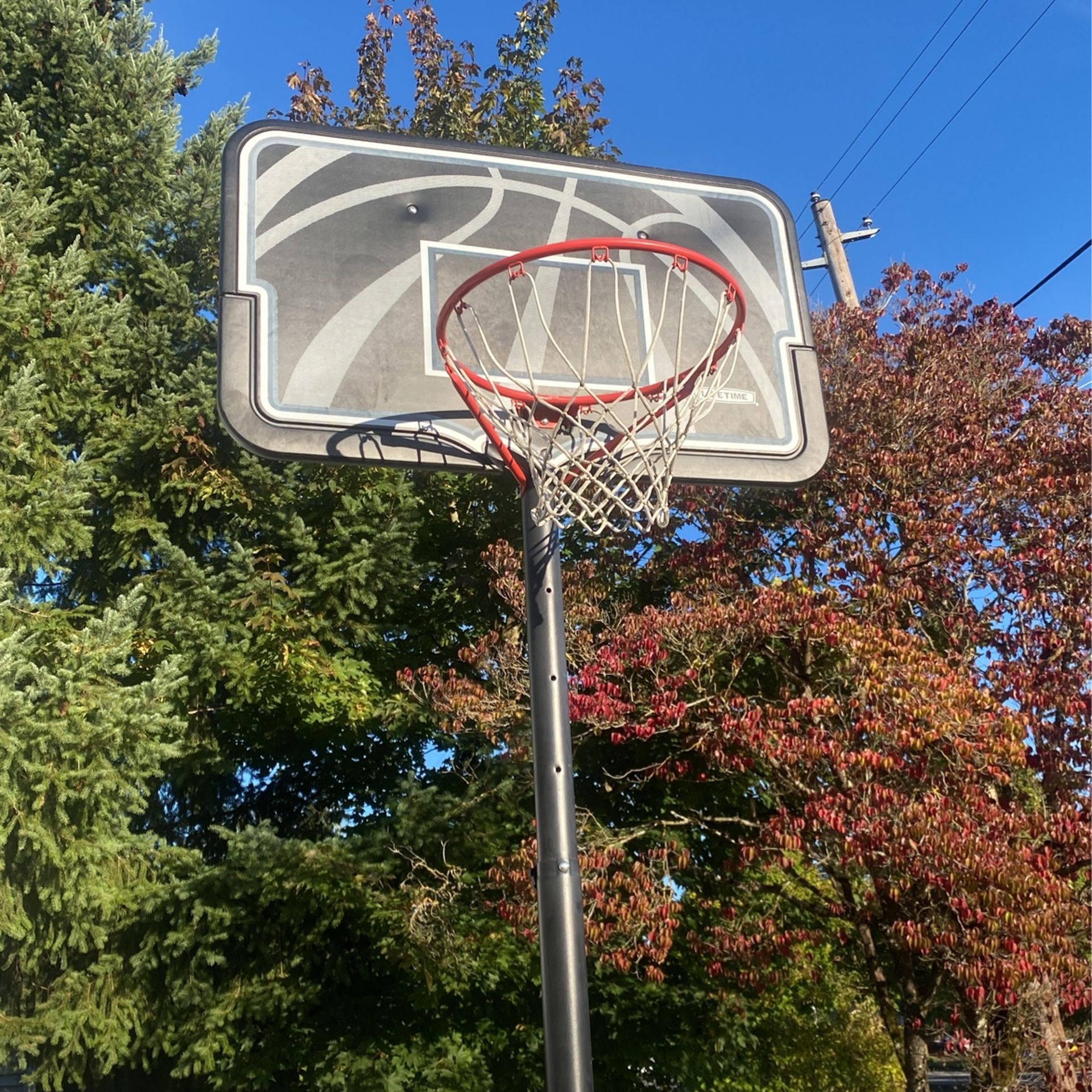 Basketball Hoop