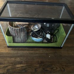 Lizard Tank