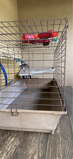 Guinea pig cage