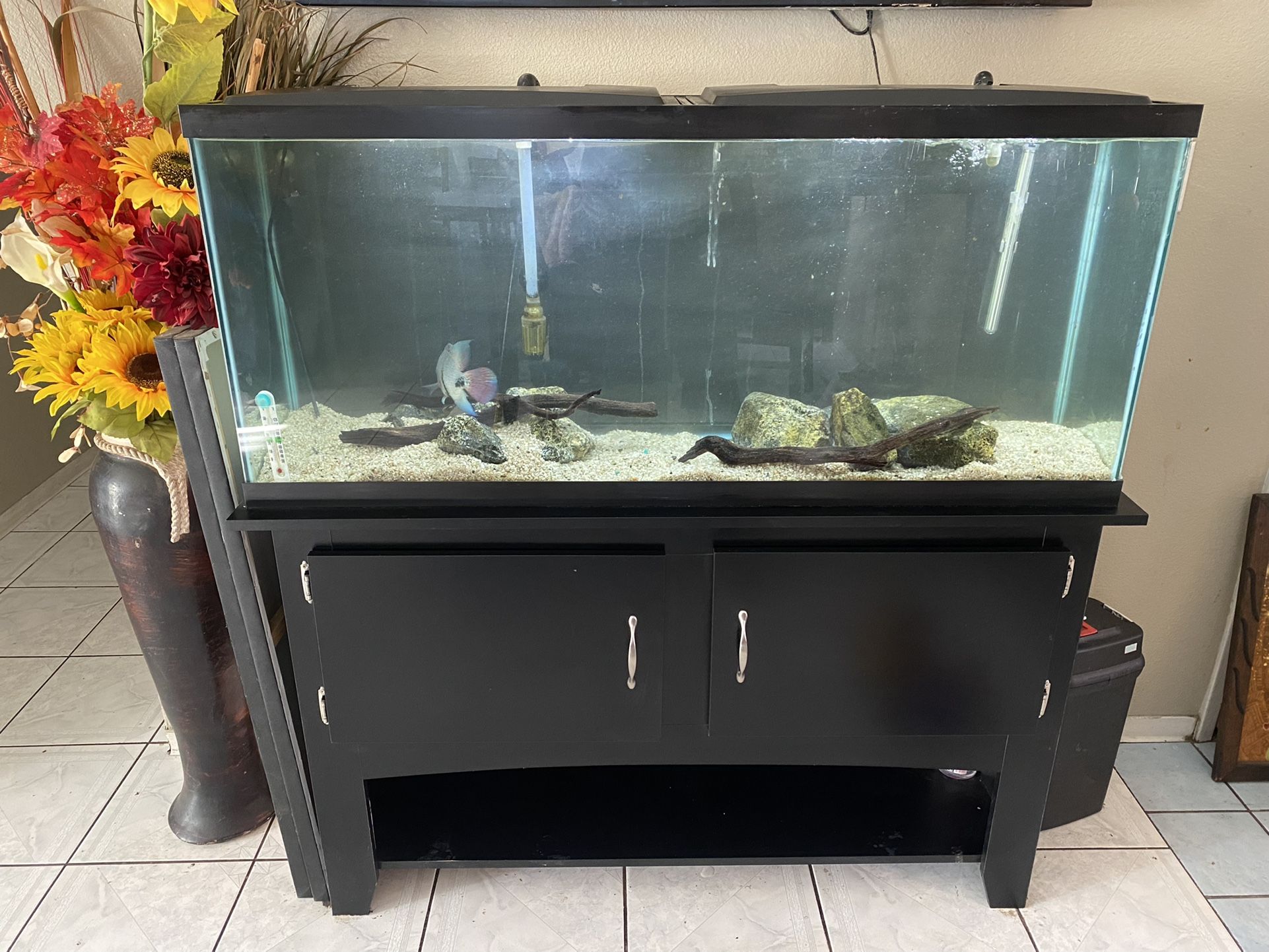 55gl Tank/stand & Filter