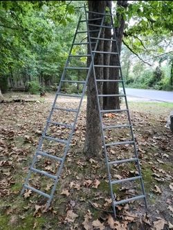 Cooper B-Line Fixed Steel Ladders