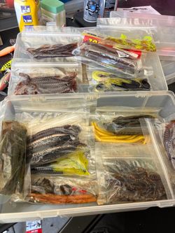 About 15 bags of fishing worms and grubs