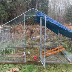 Chicken Tractor Great Deal!