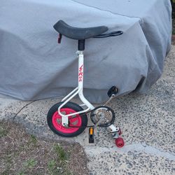 Le Run Old School BMX Unicycle Skateboard 