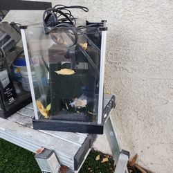 Small BETA FISH TANK