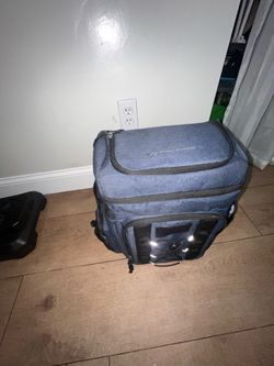 Backpack cooler