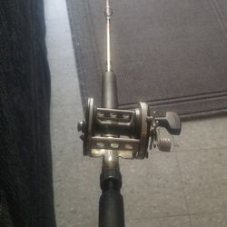 Fishing Rod and Reel 