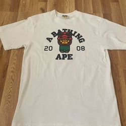 BAPE 2008 Molo 