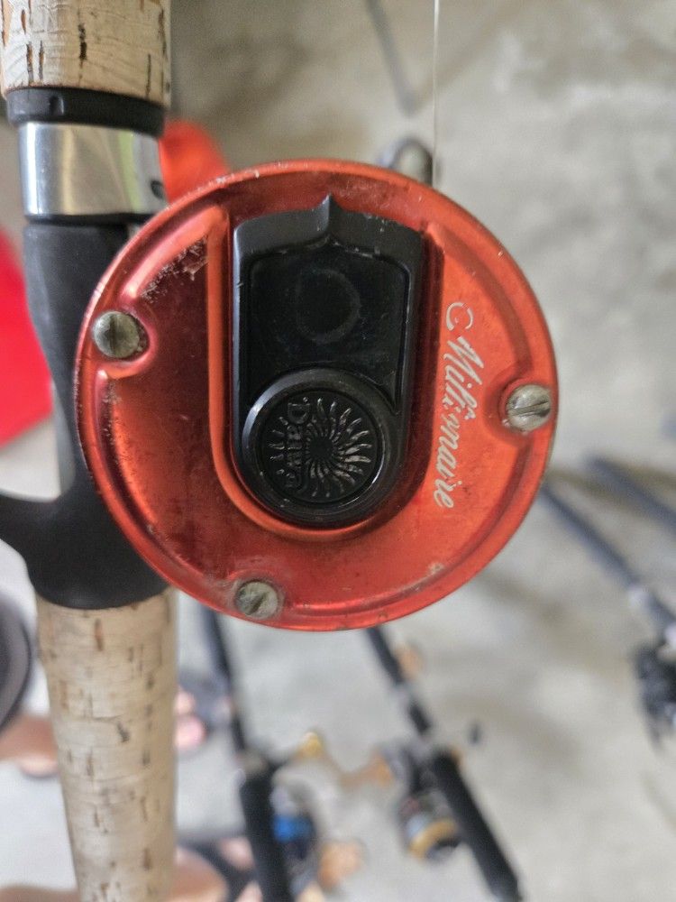 Baitcaster On Rod