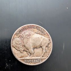 1918 Buffalo Full Horn Details, Miscolored 