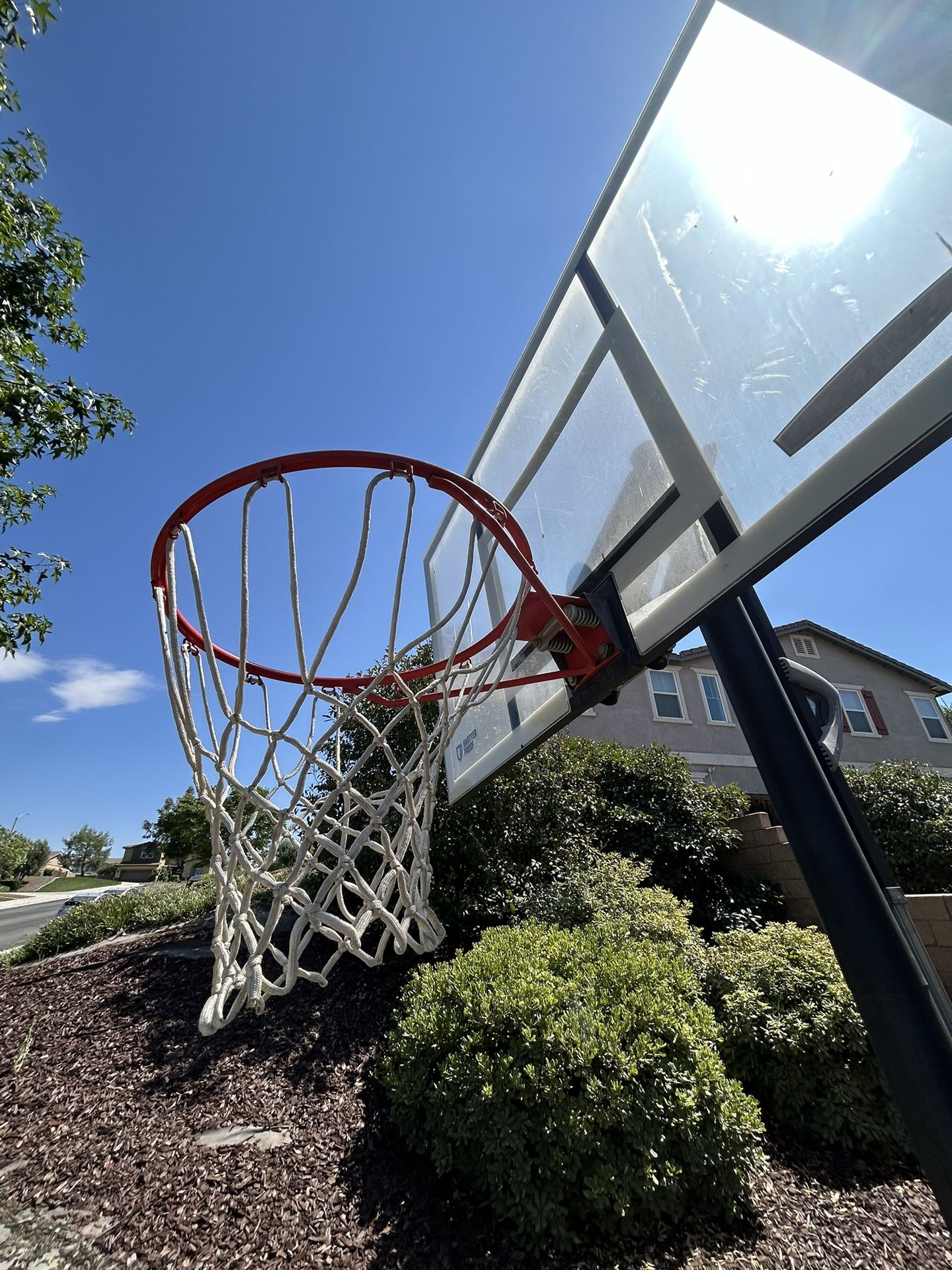 Lifetime Shatter Proof Basketball Hoop