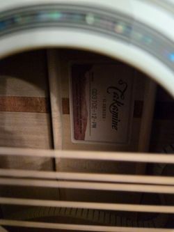 Takamine 12 string