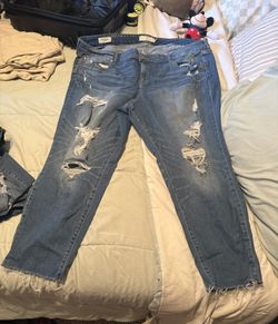 Women’s Torrid Jeans