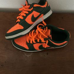 Size 10 Nike Dunks