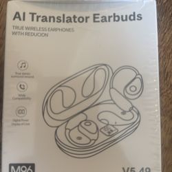 AI Translator Earbuds
