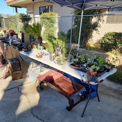 YARD SALE 2/14 8-3:00PM