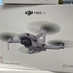 Dji Mini 4K Flymore Combo