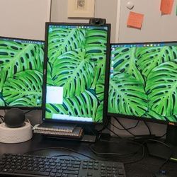 3 Dell Monitors