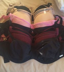 Bra bundle 32H $30