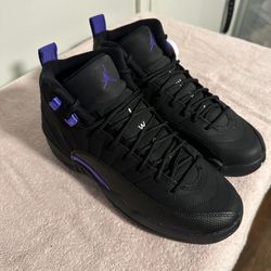 Jordan 12 Dark Concord 