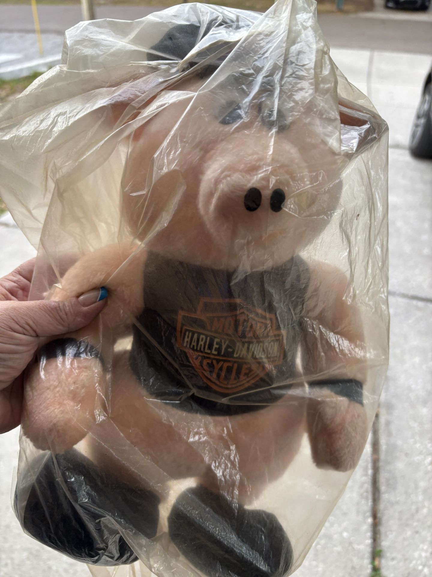 Stuffed Animal