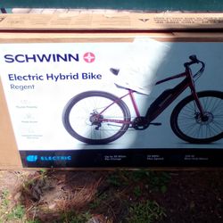 Shhwinn Regent Hybrid e Bike 2025