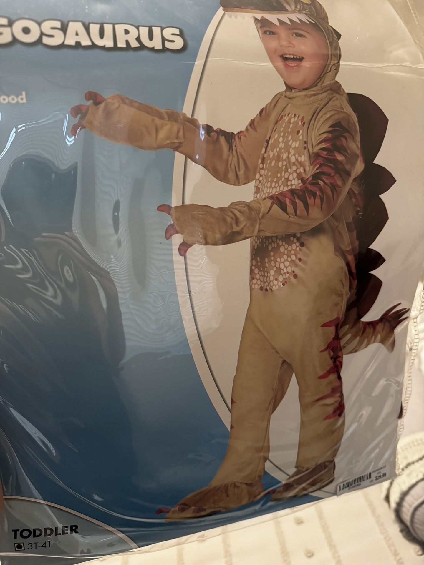 Halloween Costume