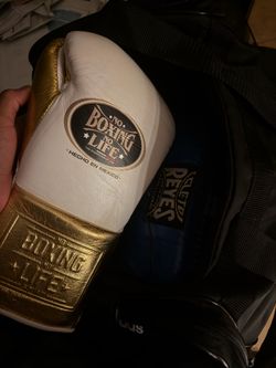 No boxing no life canelo gloves