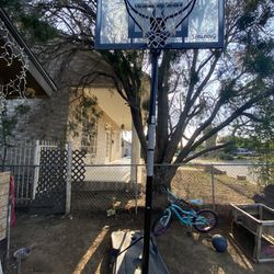 Basket Ball Court 