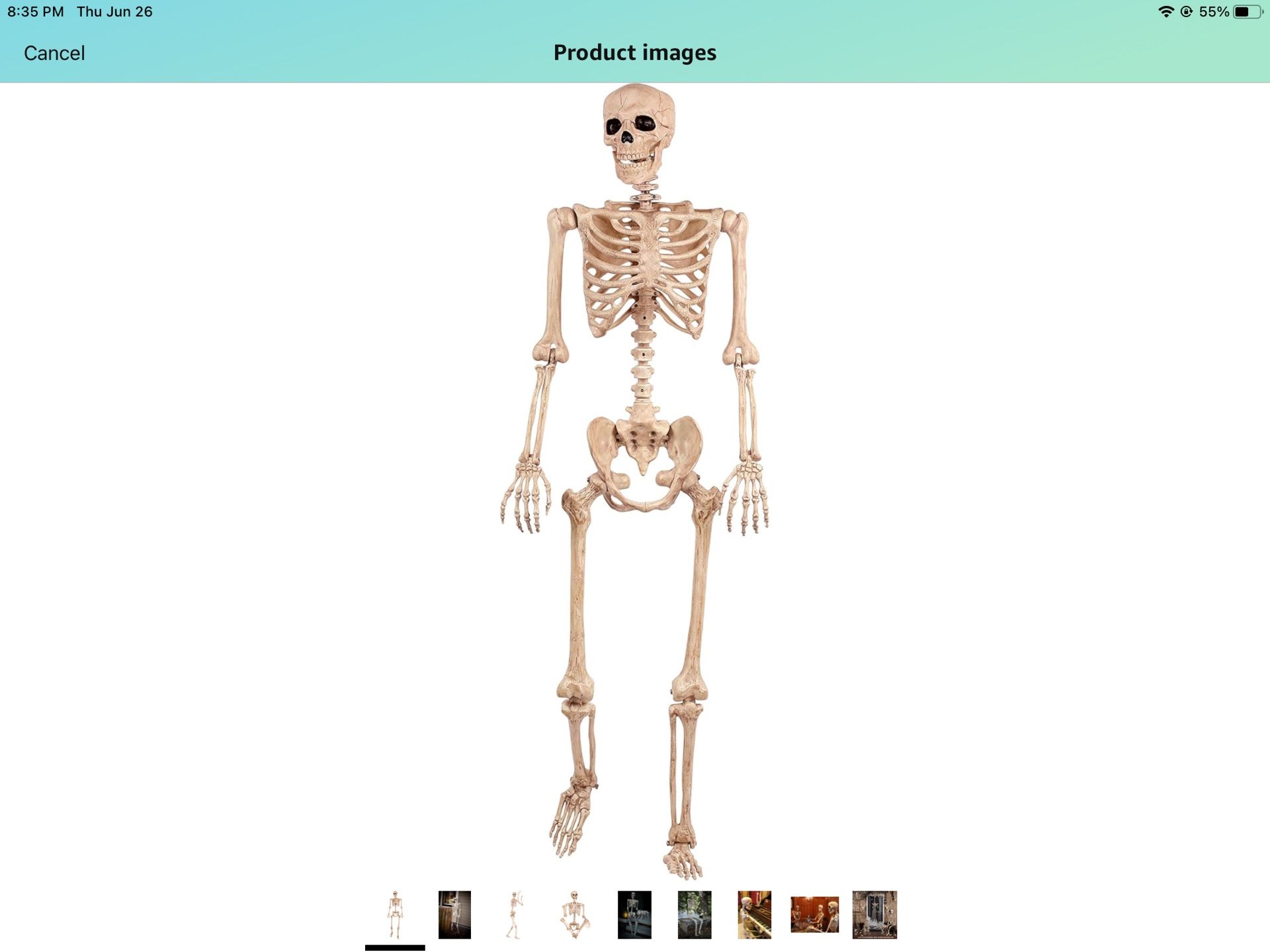 Crazy Bonez Pose-N-Stay Life Size Brand New