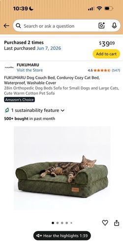 Cat / small dog bed