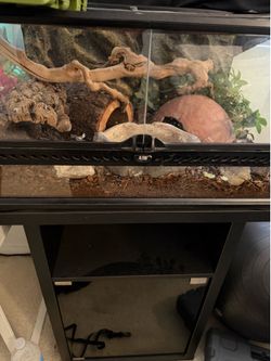 exo terra terrarium and stand