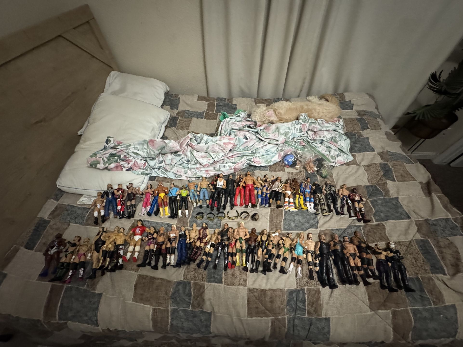 55 WWE/AEW Wrestlers (not free)
