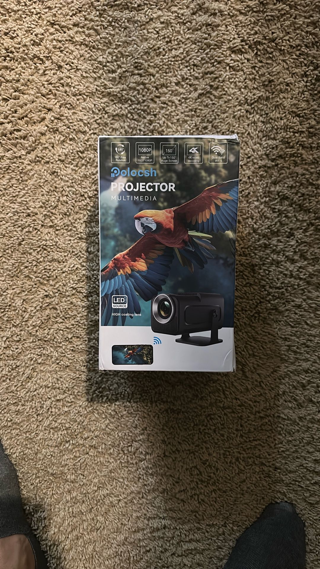 Polocsh Projector