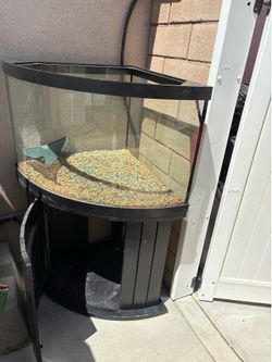 Large Corner Bowfront Aquarium with Stand 🐠