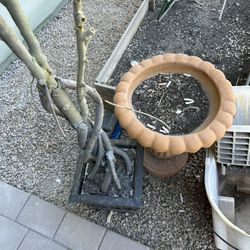Outdoor Vases/ Plant Holder 