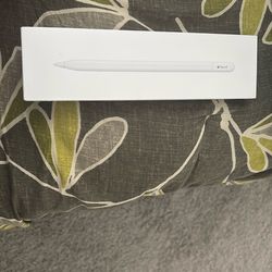 Apple Pencil (USB—c)