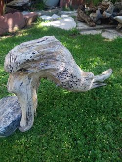 Driftwood For Aquariums Terrariums Decor