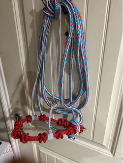 Falsa rienda, training hackamore, bosal, hackamore
